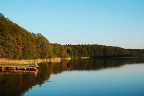 Bezpłatne szkolenie o JPK_PD i KSeF we Włocławku – 29 września