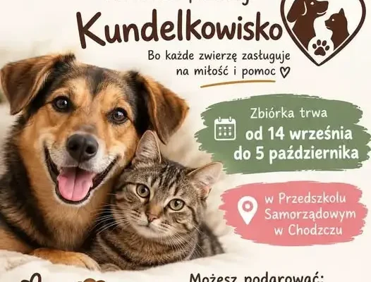 Zbiórka karmy dla zwierząt w Chodczu – Szkoła i Przedszkole łączą siły