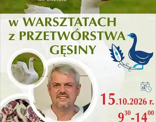 Warsztaty z przetwórstwa gęsiny w Minikowie – zapisy trwają