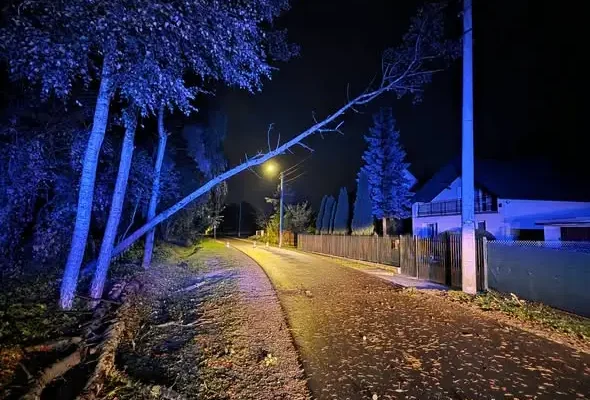 Powalone drzewa w Bogucinie — poranna akcja strażaków OSP