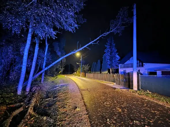 Powalone drzewa w Bogucinie — poranna akcja strażaków OSP