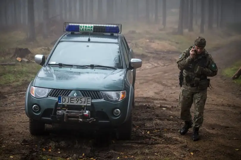 Straż Leśna kontra nielegalny stroisz – akcja „Stroisz 26” w całej Polsce