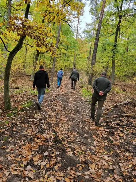 Włocławek stawia na single track: rusza pierwszy etap wyznaczania leśnych tras rowerowych