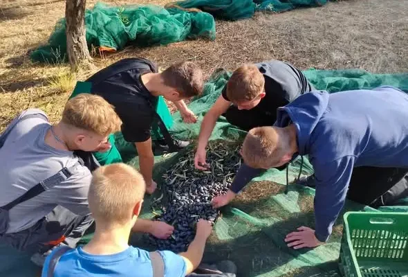 Pierwszy tydzień praktyk zawodowych w Grecji za nami