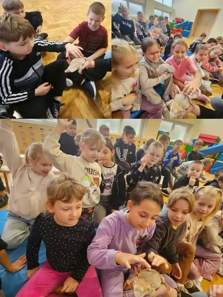 Gady w roli głównej – niezwykła lekcja przyrody w Baruchowie