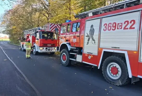 Pochylone drzewo przy DW 269 w Mchówku — interwencja strażaków z OSP Izbica Kujawska i OSP Kowal