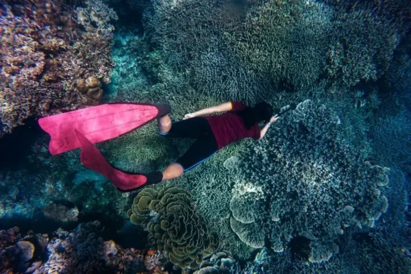 Szkoła nurkowania Mr Jacques z Włocławka uczy snorkelingu przed egzotycznymi wakacjami
