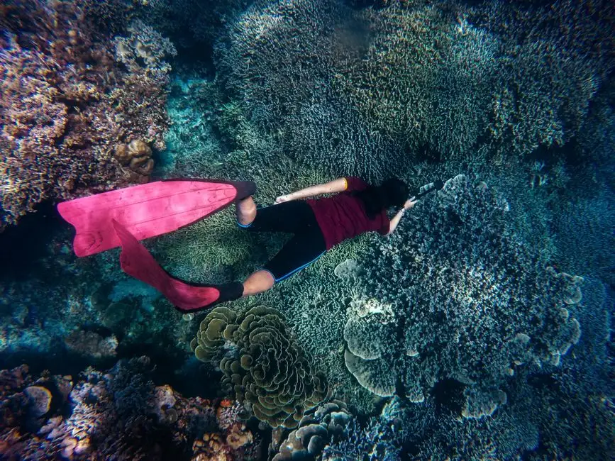 Szkoła nurkowania Mr Jacques z Włocławka uczy snorkelingu przed egzotycznymi wakacjami